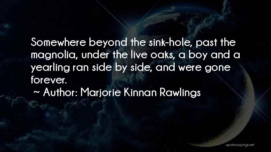 Marjorie Kinnan Rawlings Quotes: Somewhere Beyond The Sink-hole, Past The Magnolia, Under The Live Oaks, A Boy And A Yearling Ran Side By Side,