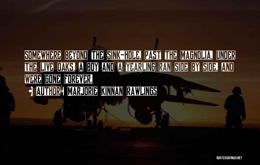 Marjorie Kinnan Rawlings Quotes: Somewhere Beyond The Sink-hole, Past The Magnolia, Under The Live Oaks, A Boy And A Yearling Ran Side By Side,