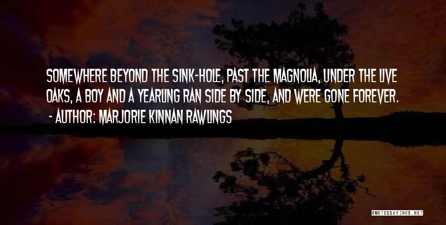 Marjorie Kinnan Rawlings Quotes: Somewhere Beyond The Sink-hole, Past The Magnolia, Under The Live Oaks, A Boy And A Yearling Ran Side By Side,