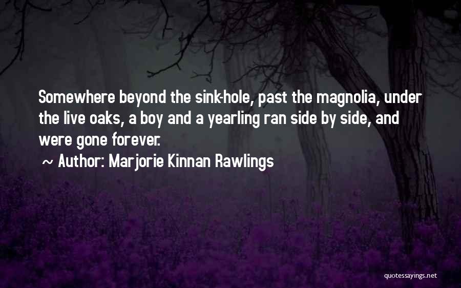 Marjorie Kinnan Rawlings Quotes: Somewhere Beyond The Sink-hole, Past The Magnolia, Under The Live Oaks, A Boy And A Yearling Ran Side By Side,