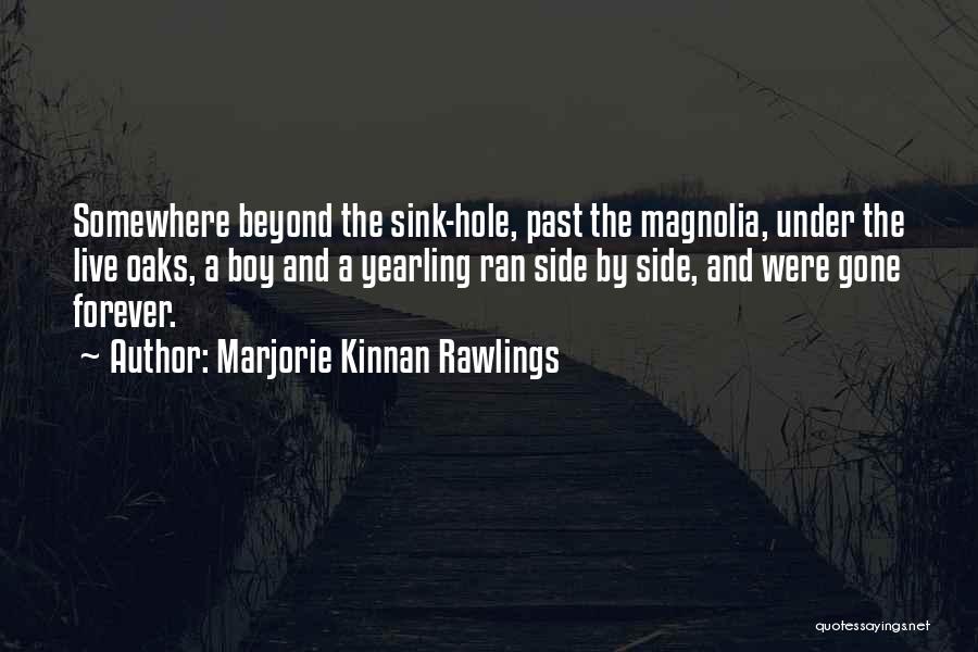 Marjorie Kinnan Rawlings Quotes: Somewhere Beyond The Sink-hole, Past The Magnolia, Under The Live Oaks, A Boy And A Yearling Ran Side By Side,