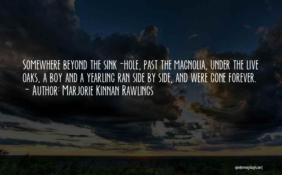 Marjorie Kinnan Rawlings Quotes: Somewhere Beyond The Sink-hole, Past The Magnolia, Under The Live Oaks, A Boy And A Yearling Ran Side By Side,