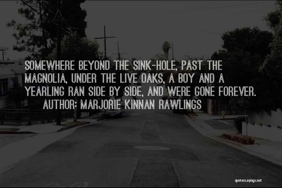 Marjorie Kinnan Rawlings Quotes: Somewhere Beyond The Sink-hole, Past The Magnolia, Under The Live Oaks, A Boy And A Yearling Ran Side By Side,