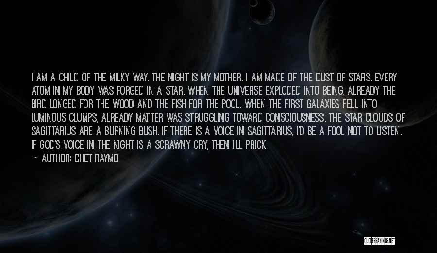 Chet Raymo Quotes: I Am A Child Of The Milky Way. The Night Is My Mother. I Am Made Of The Dust Of