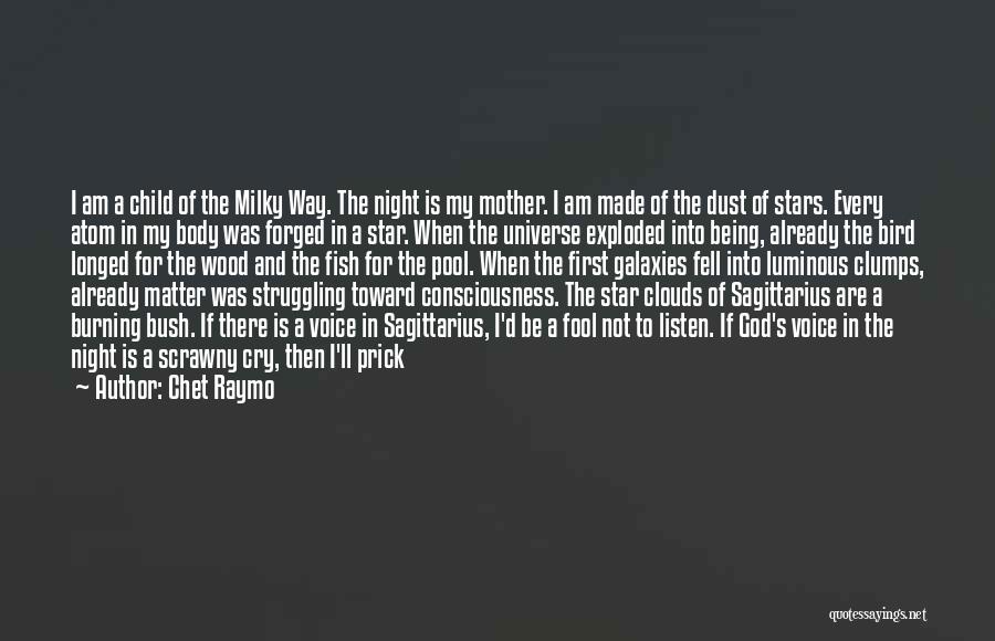 Chet Raymo Quotes: I Am A Child Of The Milky Way. The Night Is My Mother. I Am Made Of The Dust Of