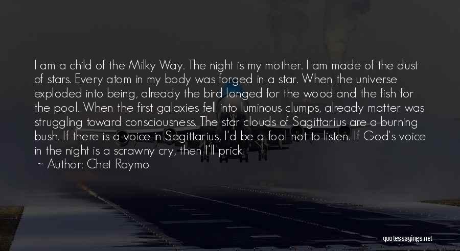 Chet Raymo Quotes: I Am A Child Of The Milky Way. The Night Is My Mother. I Am Made Of The Dust Of