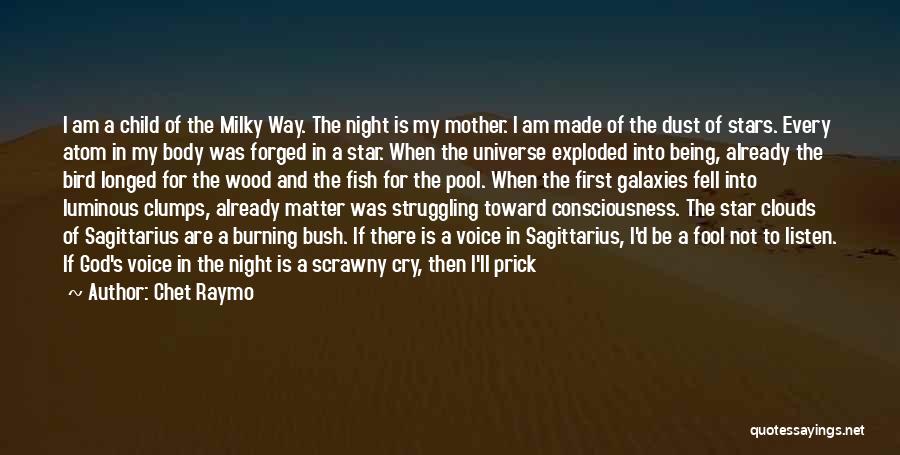 Chet Raymo Quotes: I Am A Child Of The Milky Way. The Night Is My Mother. I Am Made Of The Dust Of