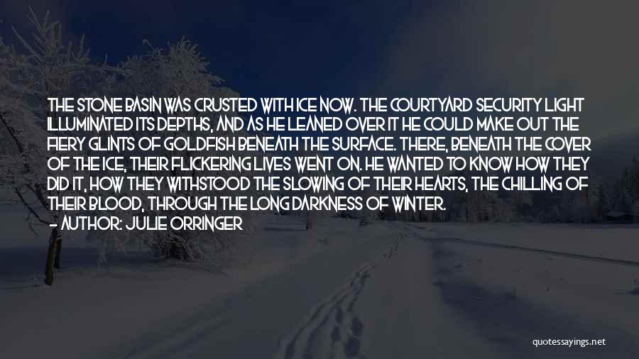 Julie Orringer Quotes: The Stone Basin Was Crusted With Ice Now. The Courtyard Security Light Illuminated Its Depths, And As He Leaned Over