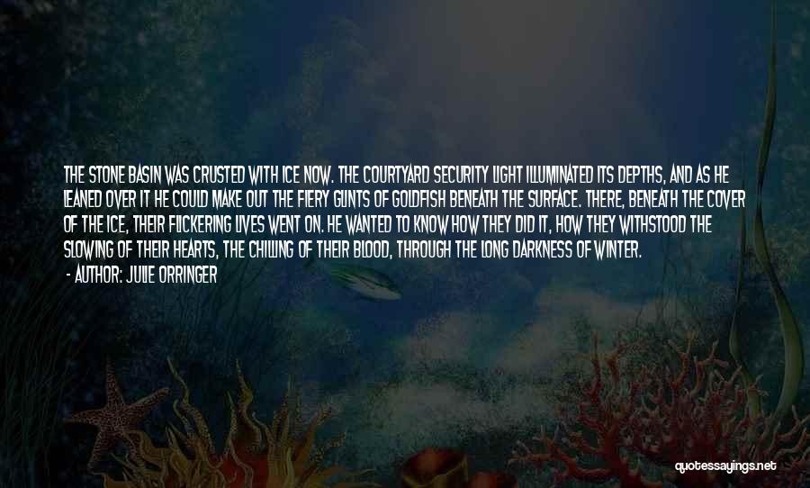Julie Orringer Quotes: The Stone Basin Was Crusted With Ice Now. The Courtyard Security Light Illuminated Its Depths, And As He Leaned Over