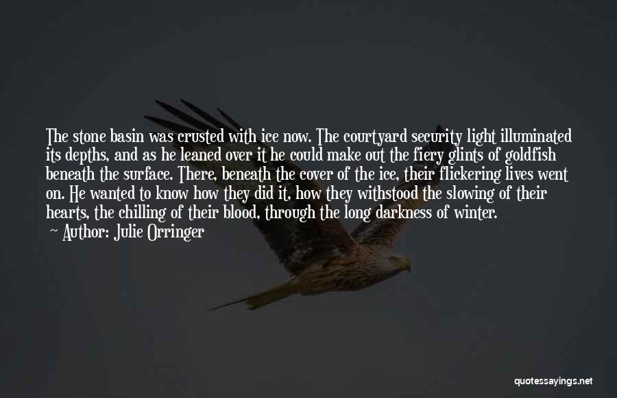 Julie Orringer Quotes: The Stone Basin Was Crusted With Ice Now. The Courtyard Security Light Illuminated Its Depths, And As He Leaned Over