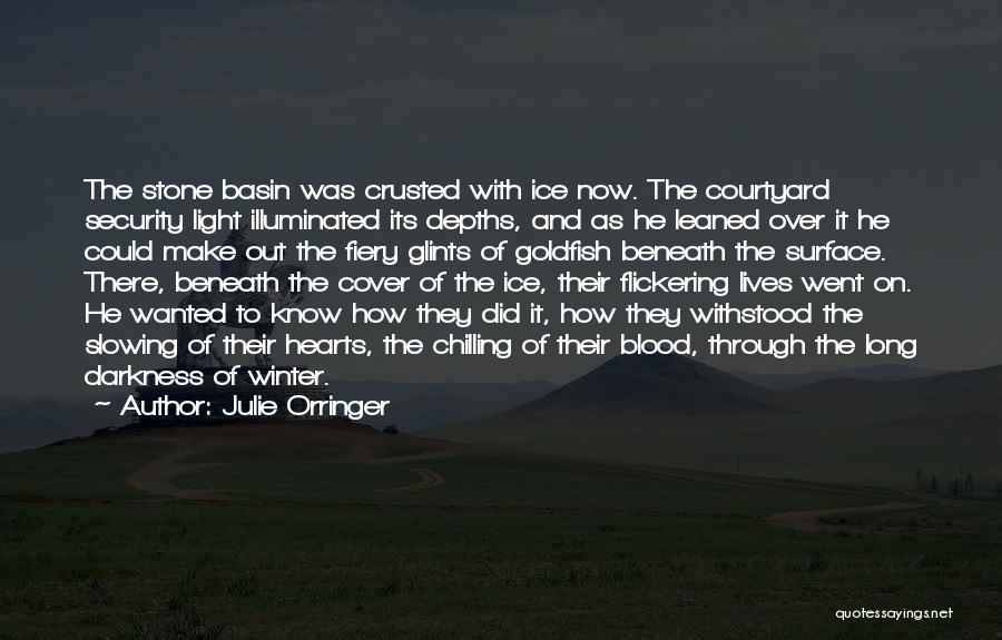 Julie Orringer Quotes: The Stone Basin Was Crusted With Ice Now. The Courtyard Security Light Illuminated Its Depths, And As He Leaned Over