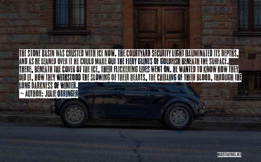 Julie Orringer Quotes: The Stone Basin Was Crusted With Ice Now. The Courtyard Security Light Illuminated Its Depths, And As He Leaned Over