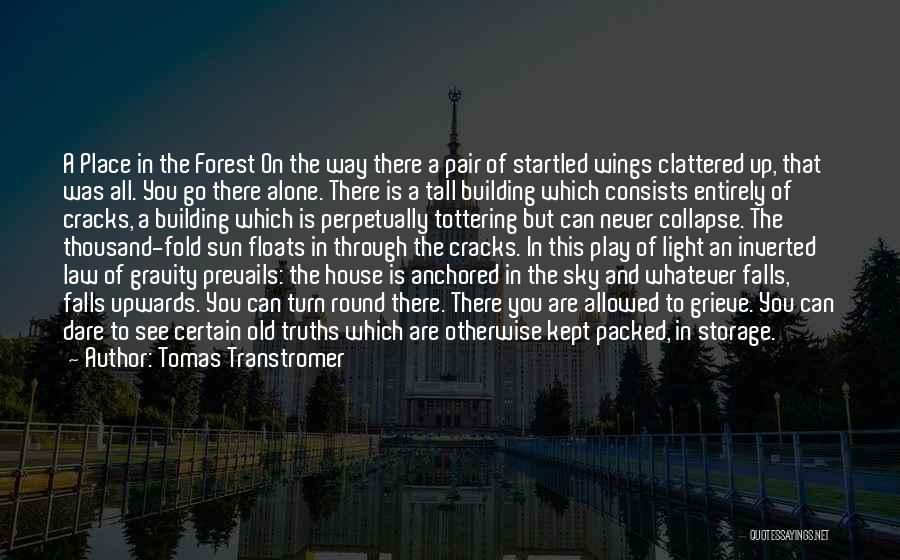 Tomas Transtromer Quotes: A Place In The Forest On The Way There A Pair Of Startled Wings Clattered Up, That Was All. You