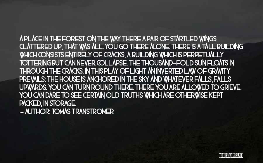 Tomas Transtromer Quotes: A Place In The Forest On The Way There A Pair Of Startled Wings Clattered Up, That Was All. You