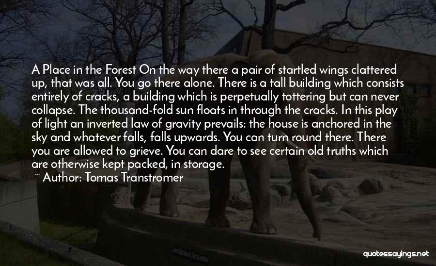 Tomas Transtromer Quotes: A Place In The Forest On The Way There A Pair Of Startled Wings Clattered Up, That Was All. You