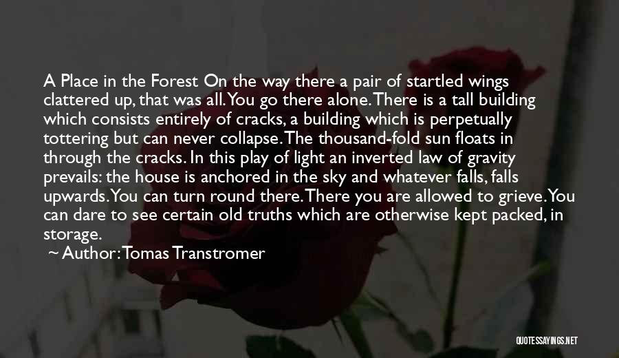 Tomas Transtromer Quotes: A Place In The Forest On The Way There A Pair Of Startled Wings Clattered Up, That Was All. You