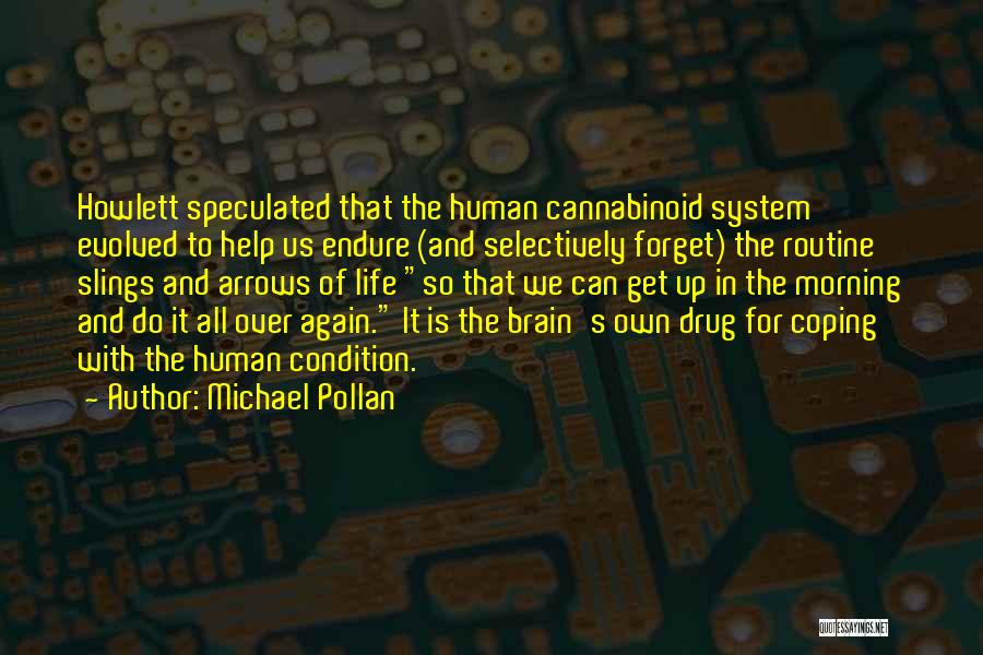 Michael Pollan Quotes: Howlett Speculated That The Human Cannabinoid System Evolved To Help Us Endure (and Selectively Forget) The Routine Slings And Arrows