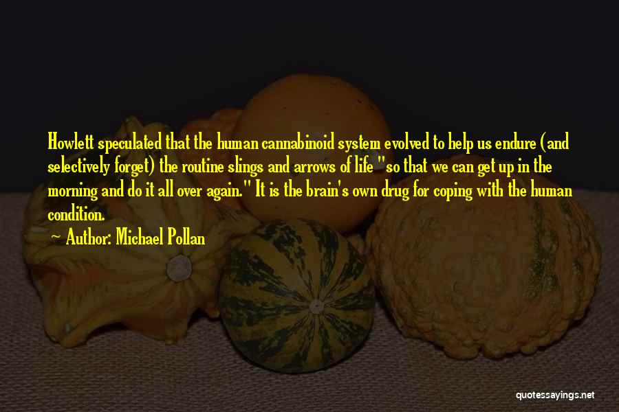 Michael Pollan Quotes: Howlett Speculated That The Human Cannabinoid System Evolved To Help Us Endure (and Selectively Forget) The Routine Slings And Arrows