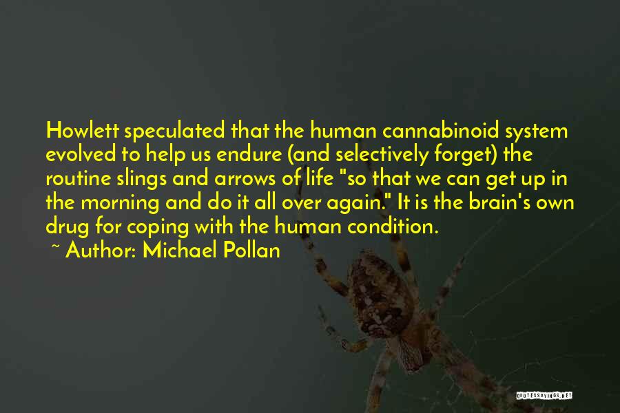 Michael Pollan Quotes: Howlett Speculated That The Human Cannabinoid System Evolved To Help Us Endure (and Selectively Forget) The Routine Slings And Arrows