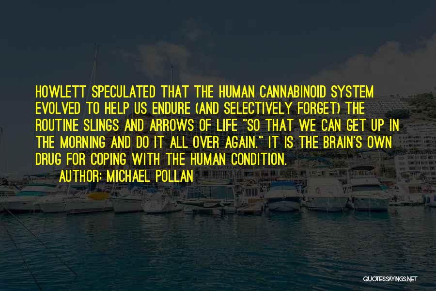 Michael Pollan Quotes: Howlett Speculated That The Human Cannabinoid System Evolved To Help Us Endure (and Selectively Forget) The Routine Slings And Arrows