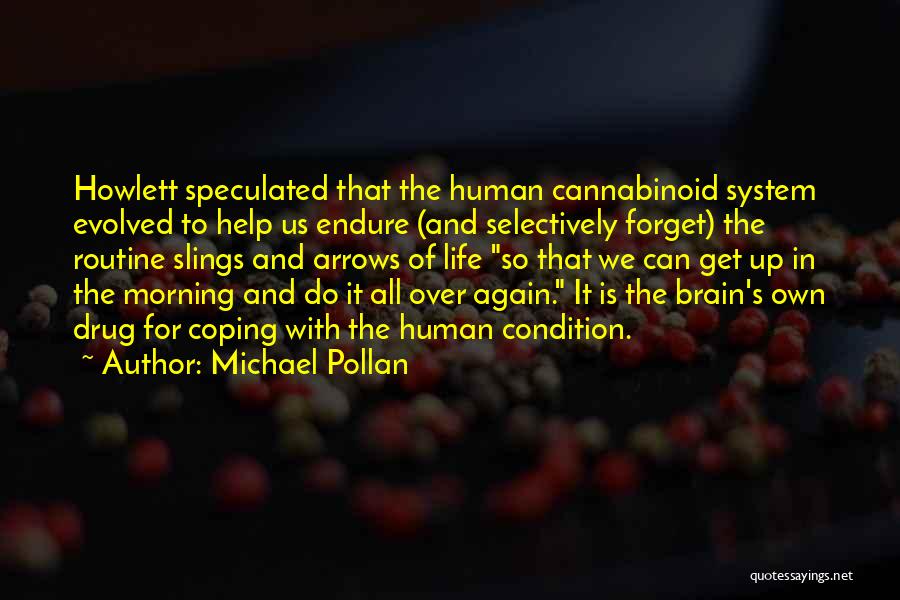 Michael Pollan Quotes: Howlett Speculated That The Human Cannabinoid System Evolved To Help Us Endure (and Selectively Forget) The Routine Slings And Arrows