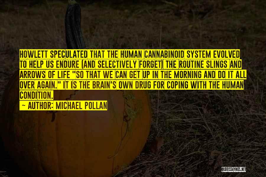 Michael Pollan Quotes: Howlett Speculated That The Human Cannabinoid System Evolved To Help Us Endure (and Selectively Forget) The Routine Slings And Arrows