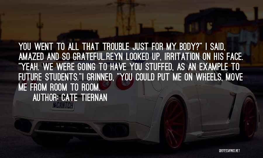 Cate Tiernan Quotes: You Went To All That Trouble Just For My Body? I Said, Amazed And So Grateful.reyn Looked Up, Irritation On