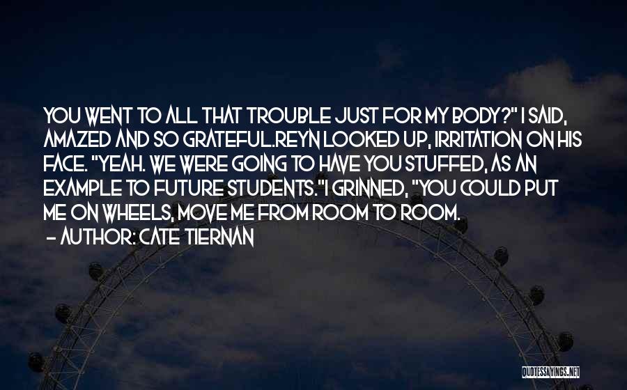 Cate Tiernan Quotes: You Went To All That Trouble Just For My Body? I Said, Amazed And So Grateful.reyn Looked Up, Irritation On