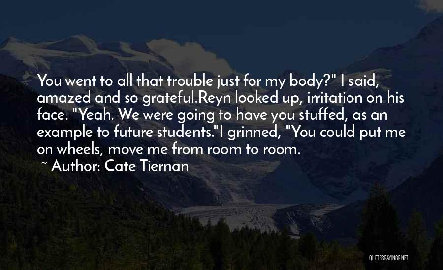 Cate Tiernan Quotes: You Went To All That Trouble Just For My Body? I Said, Amazed And So Grateful.reyn Looked Up, Irritation On