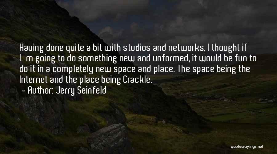 Jerry Seinfeld Quotes: Having Done Quite A Bit With Studios And Networks, I Thought If I'm Going To Do Something New And Unformed,