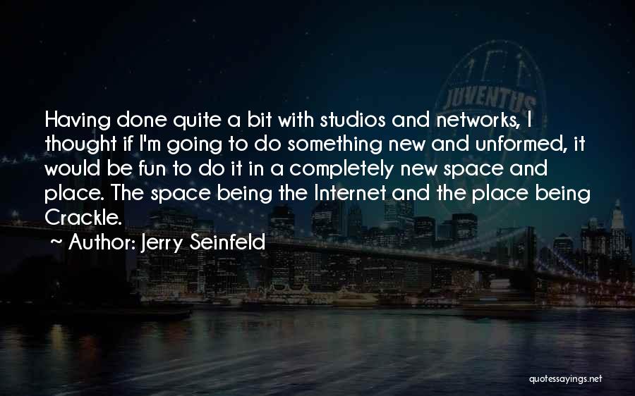 Jerry Seinfeld Quotes: Having Done Quite A Bit With Studios And Networks, I Thought If I'm Going To Do Something New And Unformed,