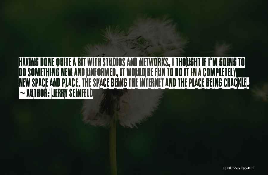 Jerry Seinfeld Quotes: Having Done Quite A Bit With Studios And Networks, I Thought If I'm Going To Do Something New And Unformed,