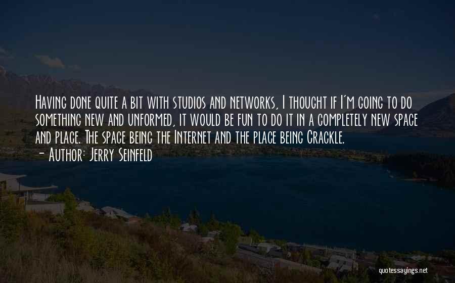 Jerry Seinfeld Quotes: Having Done Quite A Bit With Studios And Networks, I Thought If I'm Going To Do Something New And Unformed,