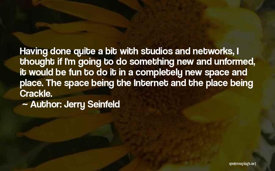 Jerry Seinfeld Quotes: Having Done Quite A Bit With Studios And Networks, I Thought If I'm Going To Do Something New And Unformed,