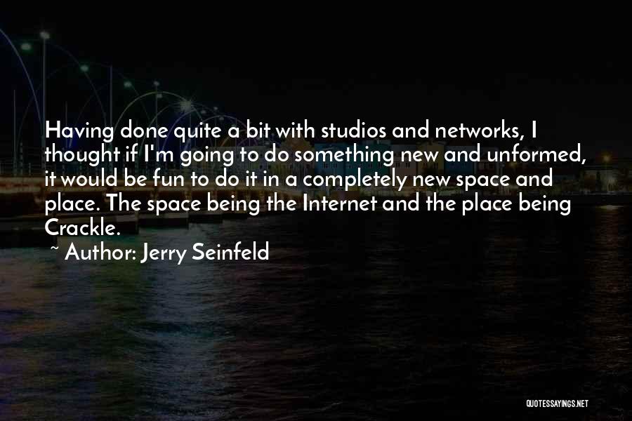 Jerry Seinfeld Quotes: Having Done Quite A Bit With Studios And Networks, I Thought If I'm Going To Do Something New And Unformed,