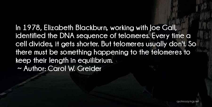 Carol W. Greider Quotes: In 1978, Elizabeth Blackburn, Working With Joe Gall, Identified The Dna Sequence Of Telomeres. Every Time A Cell Divides, It