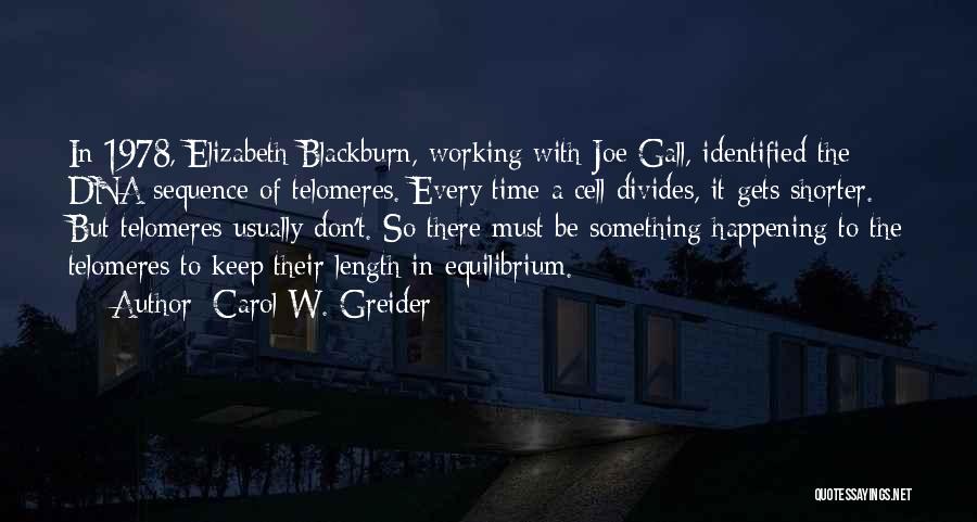 Carol W. Greider Quotes: In 1978, Elizabeth Blackburn, Working With Joe Gall, Identified The Dna Sequence Of Telomeres. Every Time A Cell Divides, It