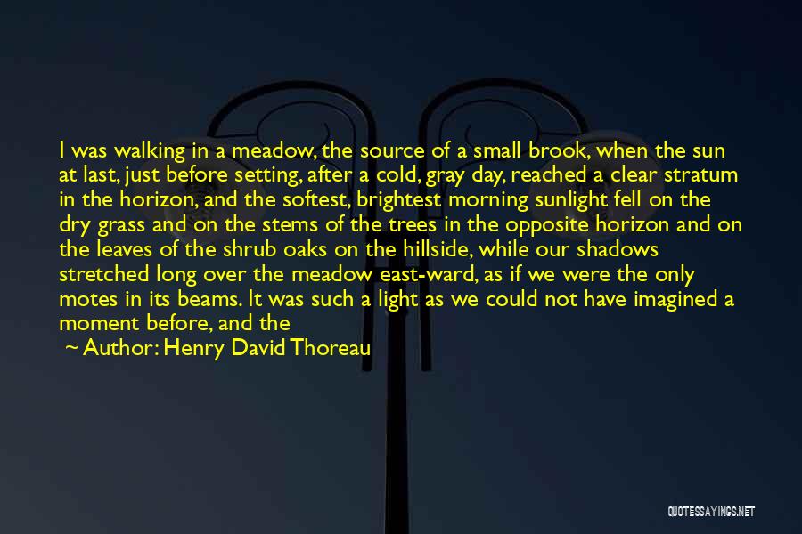 Henry David Thoreau Quotes: I Was Walking In A Meadow, The Source Of A Small Brook, When The Sun At Last, Just Before Setting,