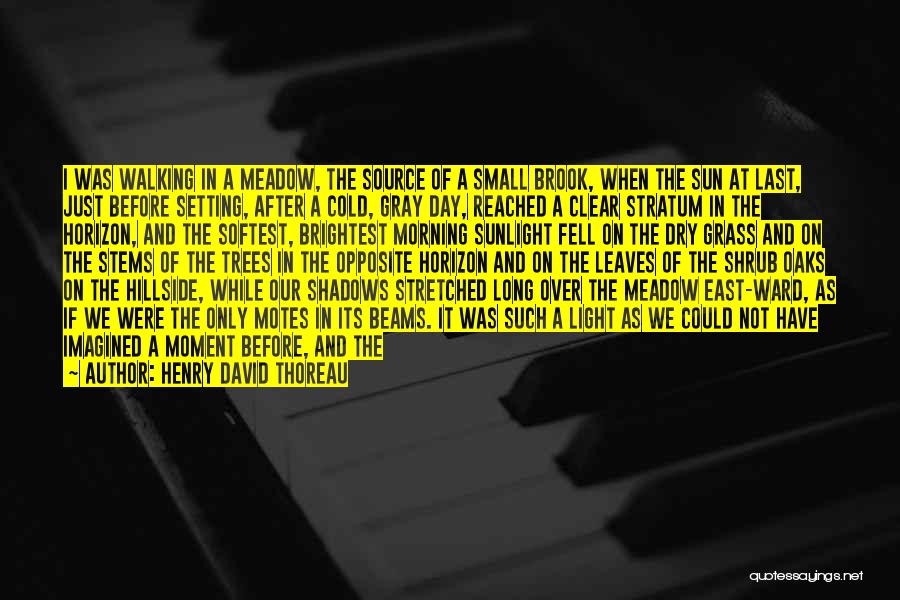 Henry David Thoreau Quotes: I Was Walking In A Meadow, The Source Of A Small Brook, When The Sun At Last, Just Before Setting,