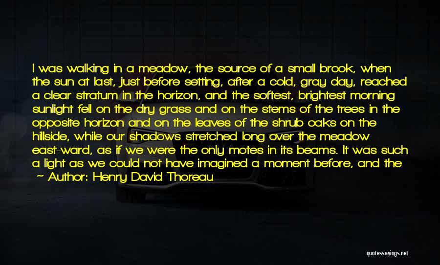 Henry David Thoreau Quotes: I Was Walking In A Meadow, The Source Of A Small Brook, When The Sun At Last, Just Before Setting,