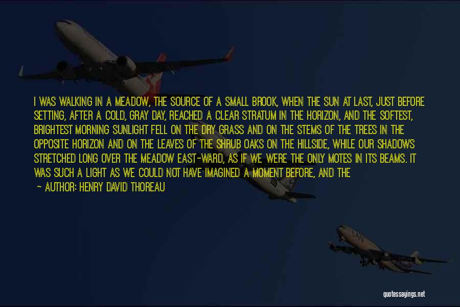 Henry David Thoreau Quotes: I Was Walking In A Meadow, The Source Of A Small Brook, When The Sun At Last, Just Before Setting,