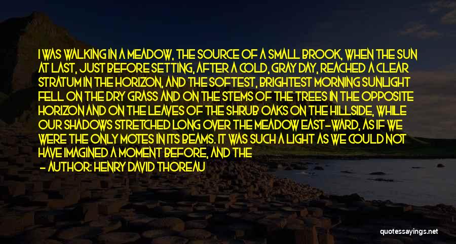 Henry David Thoreau Quotes: I Was Walking In A Meadow, The Source Of A Small Brook, When The Sun At Last, Just Before Setting,