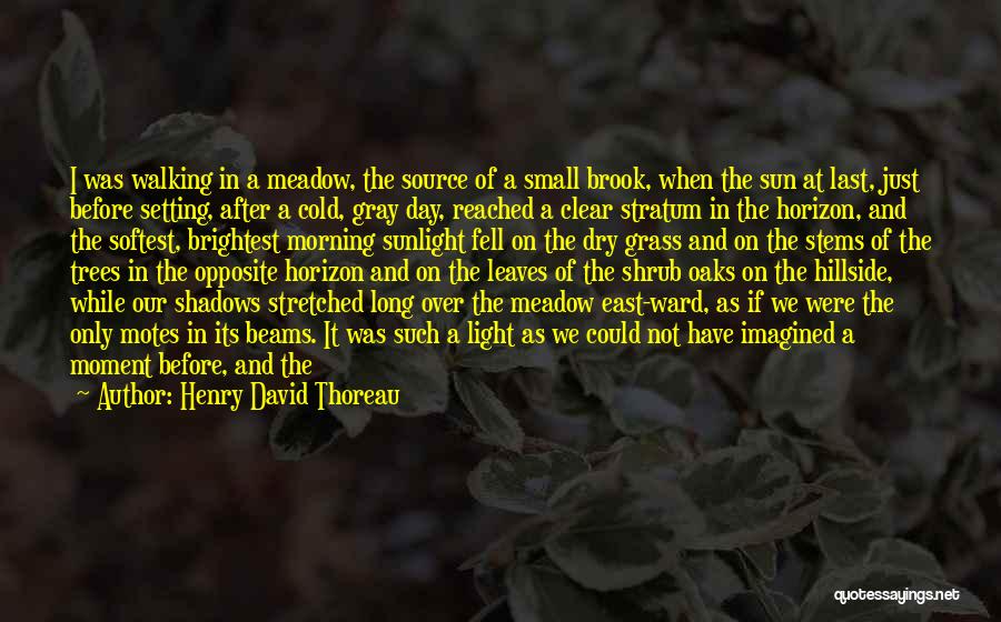 Henry David Thoreau Quotes: I Was Walking In A Meadow, The Source Of A Small Brook, When The Sun At Last, Just Before Setting,