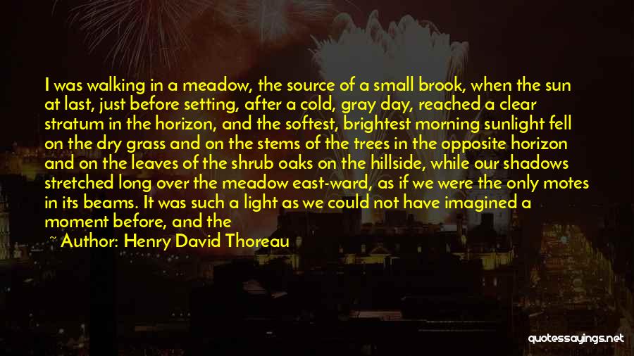 Henry David Thoreau Quotes: I Was Walking In A Meadow, The Source Of A Small Brook, When The Sun At Last, Just Before Setting,