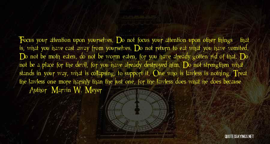 Marvin W. Meyer Quotes: Focus Your Attention Upon Yourselves. Do Not Focus Your Attention Upon Other Things - That Is, What You Have Cast