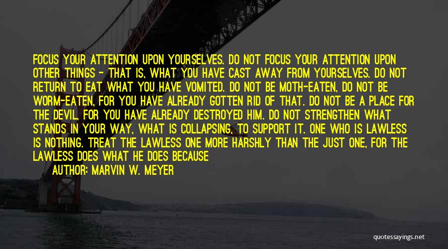 Marvin W. Meyer Quotes: Focus Your Attention Upon Yourselves. Do Not Focus Your Attention Upon Other Things - That Is, What You Have Cast
