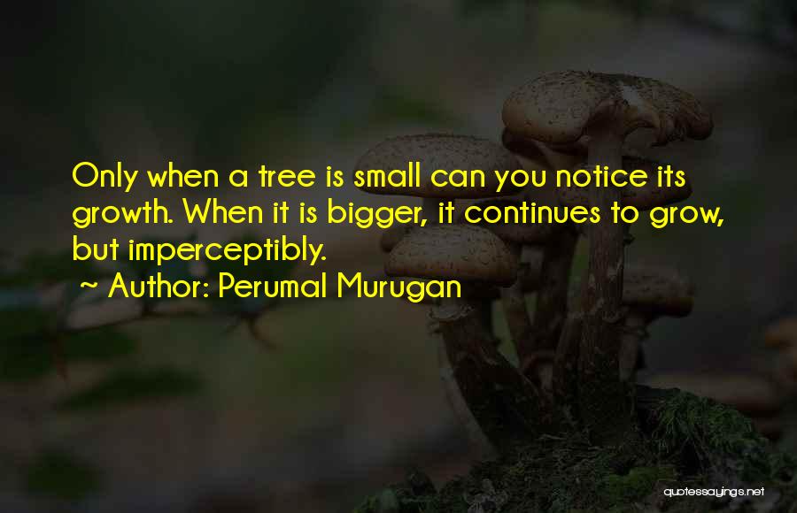 Perumal Murugan Quotes: Only When A Tree Is Small Can You Notice Its Growth. When It Is Bigger, It Continues To Grow, But