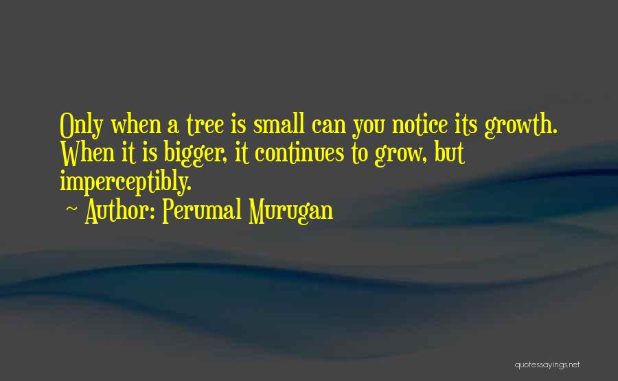 Perumal Murugan Quotes: Only When A Tree Is Small Can You Notice Its Growth. When It Is Bigger, It Continues To Grow, But