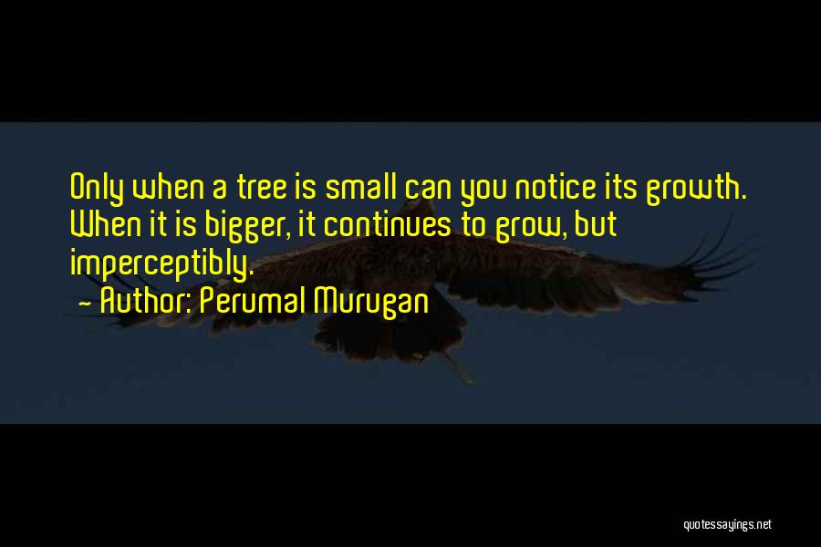 Perumal Murugan Quotes: Only When A Tree Is Small Can You Notice Its Growth. When It Is Bigger, It Continues To Grow, But