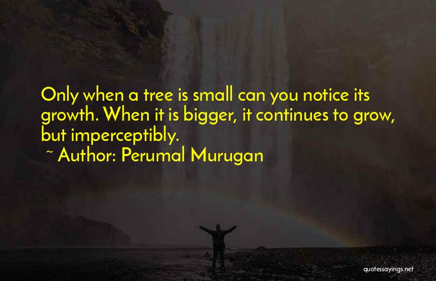 Perumal Murugan Quotes: Only When A Tree Is Small Can You Notice Its Growth. When It Is Bigger, It Continues To Grow, But